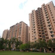 Ratan planet kanpur